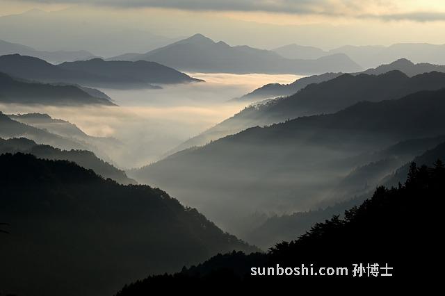 正山小种的功效与作用及禁忌-正山小种加盐的功效与作用-正山小种人参汤功效与作用